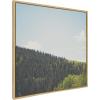 image:imageKate and Laurel Sylvie Above the Tree Line Framed Canvas Wall Art by Laura Evans 30x30 Natural Decorative Forest Landscape Art for Wall