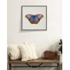 image:imageKate and Laurel Sylvie Coppertop Butterfly Framed Linen Textured Canvas Wall Art by Robert Cadloff of Bomobob 22x22 Gray Decorative Nature Themed Art for Wall