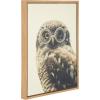 image:imageKate and Laurel Sylvie Owl Wearing Glasses Portrait Framed Canvas Wall Art by F2 Images 18x24 Natural