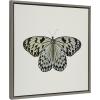 image:imageKate and Laurel Sylvie Two Tone Butterfly Framed Linen Textured Canvas Wall Art by Robert Cadloff of Bomobob 22x22 Gray Decorative Nature Themed Art Decor for Wall