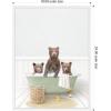 image:imageKate and Laurel Three Bear Cubs in Cottage Green Bath Framed Canvas Wall Art by Amy Peterson 18 x 24 Sylvie White Whimsical Animals Bathroom Art for Wall Decor Living Room Bedroom