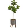 image:imageKate and Laurel Fidmont Faux Fiddle Fig Tree with Gavri Metal Planter Pot 4 FT Silver and Rustic Brown Potted Artificial Tree Indoor with Realistic Foliage and Added Moss Living Room Fake Plant4ft 7in
