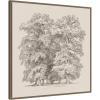 image:imageKate and Laurel Framed Canvas Wall Art Print Felling of Trees by Jakob Becker by Nostalgia Prints 30 x 30 Sylvie Walnut Frame Traditional Landscape Art for Wall Decor