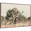 image:imageKate and Laurel Framed Canvas Wall Art Print Joshua Tree No 1 by Alicia Bock 41 x 28 Sylvie Walnut Frame Rustic Farmhouse Landscape Art for Wall Decor
