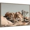 image:imageKate and Laurel Framed Canvas Wall Art Print Joshua Tree No 3 by Alicia Bock 41 x 28 Sylvie Walnut Frame Rustic Farmhouse Landscape Art for Wall Decor