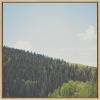 image:imageKate and Laurel Sylvie Above the Tree Line Framed Canvas Wall Art by Laura Evans 30x30 Natural Decorative Forest Landscape Art for Wall