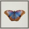 image:imageKate and Laurel Sylvie Coppertop Butterfly Framed Linen Textured Canvas Wall Art by Robert Cadloff of Bomobob 22x22 Gray Decorative Nature Themed Art for Wall