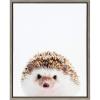 image:imageKate and Laurel Sylvie Hedgehog Animal Print Portrait Framed Canvas Wall Art by Amy Peterson 18x24 Gray