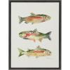 image:imageKate and Laurel Sylvie Rainbow Trout Framed Canvas Wall Art by Cathy Zhang 18x24 Gray Decorative Nature Art for Wall