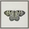 image:imageKate and Laurel Sylvie Two Tone Butterfly Framed Linen Textured Canvas Wall Art by Robert Cadloff of Bomobob 22x22 Gray Decorative Nature Themed Art Decor for Wall