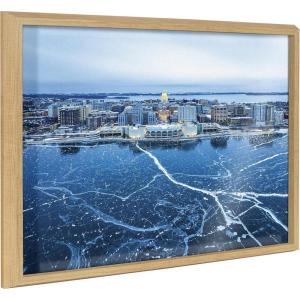 image:imageKate and Laurel Blake Icy Veins of WinterMadison Wisconsin Framed Printed Glass Wall Art by Pete Olsen 18x24 Natural Decorative Nature Art Wall Dcor
