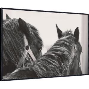 image:imageKate and Laurel Framed Canvas Wall Art Print Black Horses by Emiko and Mark Franzen F2 Images 41 x 28 Sylvie Beaded Black Frame Rustic Farmhouse Animal Art for Wall Decor