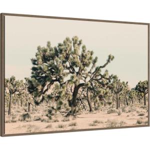 image:imageKate and Laurel Framed Canvas Wall Art Print Joshua Tree No 1 by Alicia Bock 41 x 28 Sylvie Walnut Frame Rustic Farmhouse Landscape Art for Wall Decor
