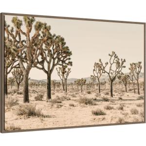 image:imageKate and Laurel Framed Canvas Wall Art Print Joshua Tree No 2 by Alicia Bock 41 x 28 Sylvie Walnut Frame Rustic Farmhouse Landscape Art for Wall Decor