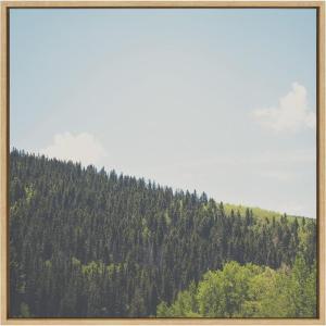 image:imageKate and Laurel Sylvie Above the Tree Line Framed Canvas Wall Art by Laura Evans 30x30 Natural Decorative Forest Landscape Art for Wall