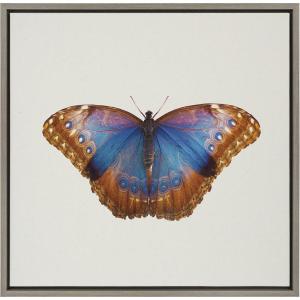 image:imageKate and Laurel Sylvie Coppertop Butterfly Framed Linen Textured Canvas Wall Art by Robert Cadloff of Bomobob 22x22 Gray Decorative Nature Themed Art for Wall