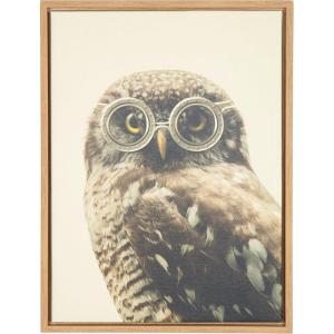 image:imageKate and Laurel Sylvie Owl Wearing Glasses Portrait Framed Canvas Wall Art by F2 Images 18x24 Natural
