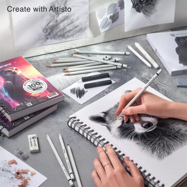 Artisto Drawing and Sketching Pencil Art Set 20 Items  Complete Kit with Graphite Pencils Charcoal Pencils Sticks Blending Stumps Erasers and Sharpeners