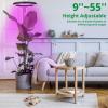 imageSondiko 10 Halo LED Plant Light Full Spectrum Grow Light for Indoor Plants with Adjustable Height 3 Lighting Modes 10 Dimmable Levels ampamp 3912H Auto OnOff Timer Ideal for Large Growing Plants