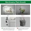 imageSondiko Full Spectrum Grow Lights for Indoor Plants LED Grow Light with Automatic Timer 9Level Dimmable Adjustable Lamp Angle Plant Lights for Indoor Growing