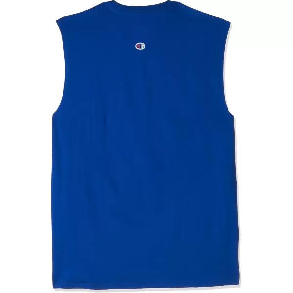 imageChampion Mens Big and Tall Sleeveless Tank Top ShirtsSurf the Web Script