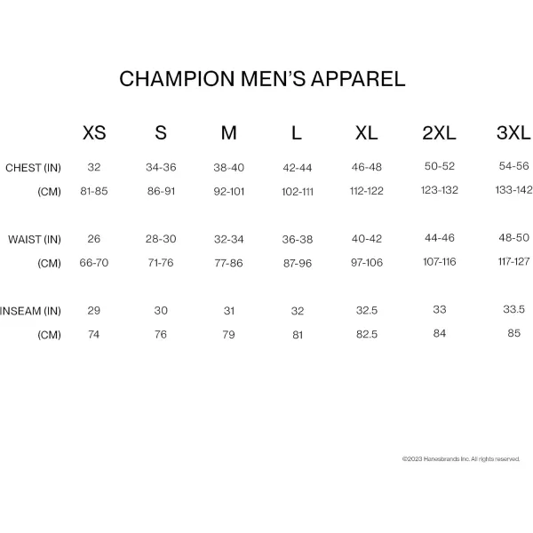 imageChampion Mens Big and Tall Sleeveless Tank Top ShirtsWhite Script