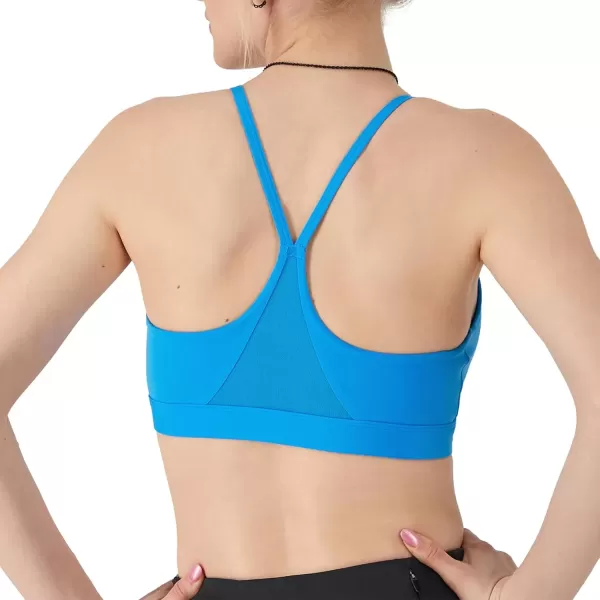 imageChampion Womens Sports Bra Soft Touch Moisturewicking Bra Light Support Sports Bra Longline Sports Bra AvailableNew Palatinate Blue