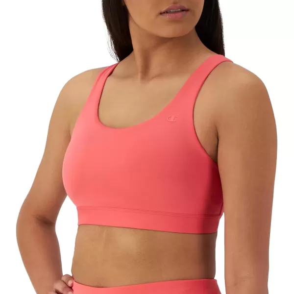 imageChampion Womens Sports Bra Soft Touch Moisturewicking Bra Moderate Support Bra for Women Plus Size AvailableHigh Tide Coral