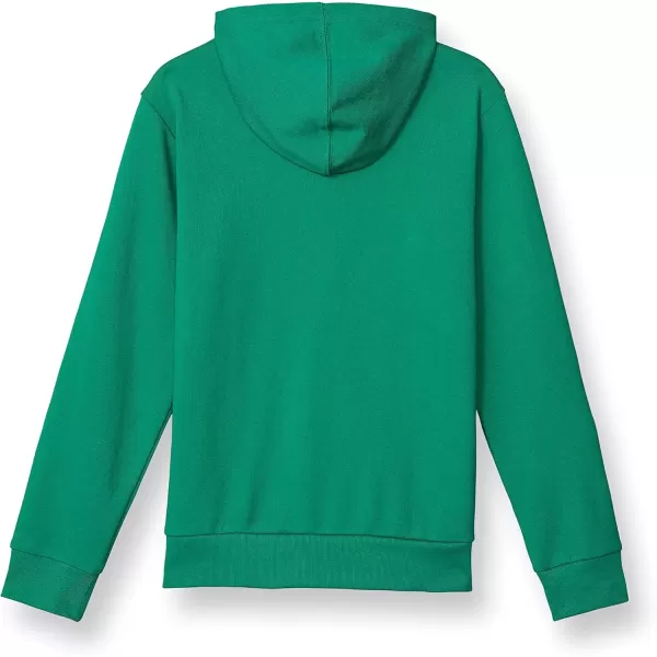 imageChampion Boys Hoodie Kids Sweatshirts for Boys Pullover Hoodie Multiple GraphicsKelly Green Script