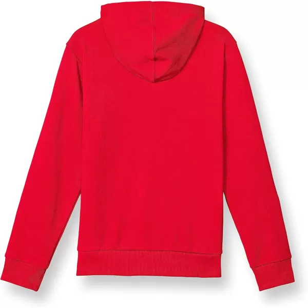 imageChampion Boys Hoodie Kids Sweatshirts for Boys Pullover Hoodie Multiple GraphicsScarlet Script