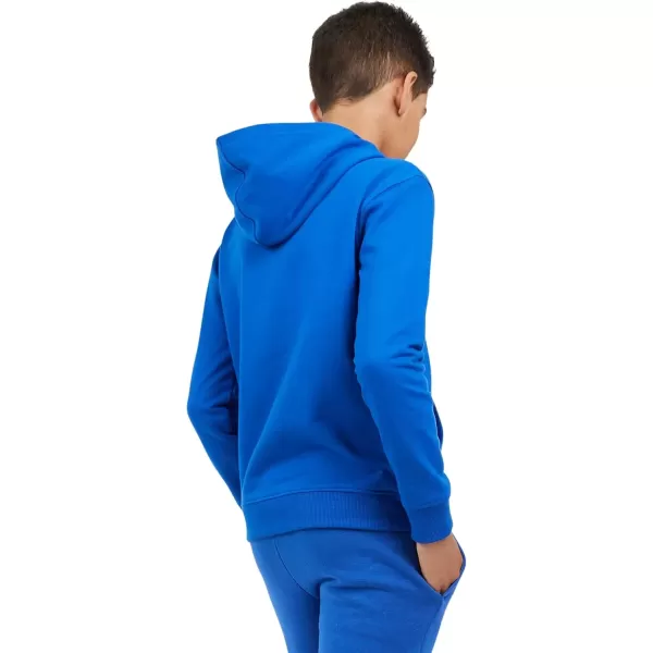 imageChampion Boys Hoodie for Kids Sweatshirt Fleece Youth Pullover With HoodSignature Blue