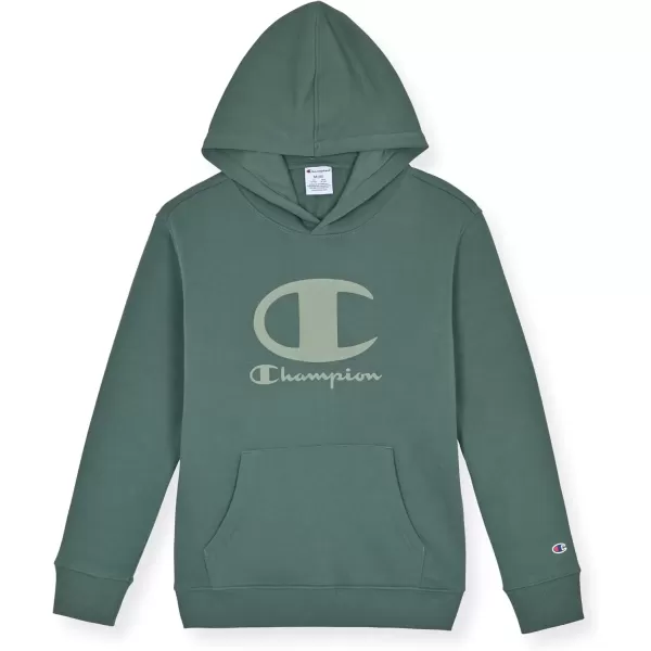 imageChampion Boys Sweatsuit Set for Kids 3 Piece Boys Hoodie Jogger and Tee Shirt Tracksuit OutfitWhitegraydark Forest