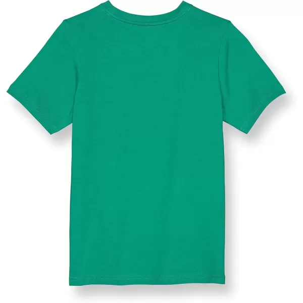 imageChampion Boys TShirtKelly Green Script