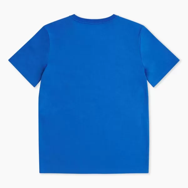 imageChampion Boys Tee Shirt Short Sleeve Logo TShirt for KidsCrash Blue