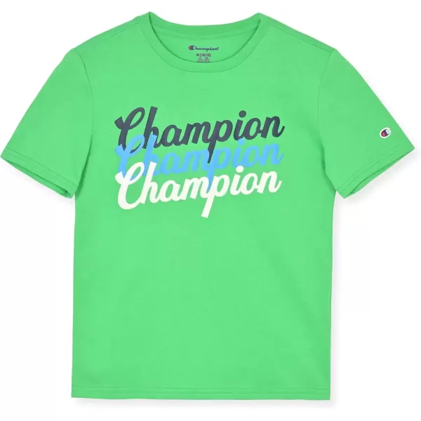 imageChampion Boys Tee Shirts 2 Pack Short Sleeve TShirts for Boys in Sizes 418Greengrey Heather