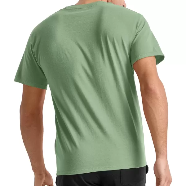 imageChampion Mens Classic Everyday Soft Comfortable TShirt Regular or Big ampamp TallAll About Olive