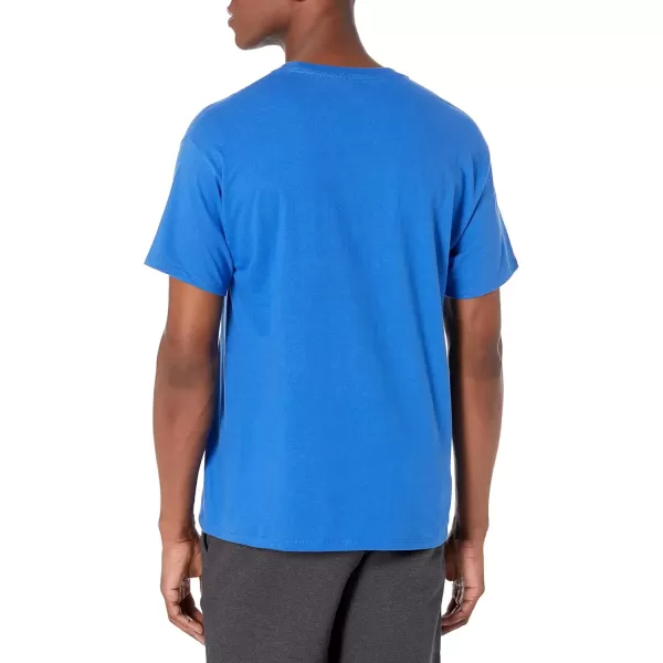 imageChampion Mens Classic Everyday Soft Comfortable TShirt Regular or Big ampamp TallBright Royal