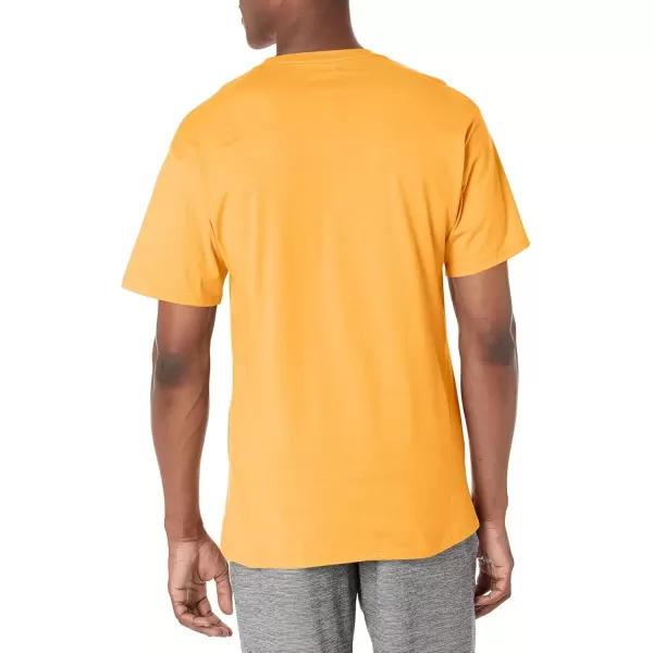 imageChampion Mens Classic Everyday Soft Comfortable TShirt Regular or Big ampamp TallCapri Orange
