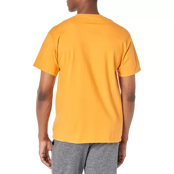 imageChampion Mens Classic Everyday Soft Comfortable TShirt Regular or Big ampamp TallCapri Orange