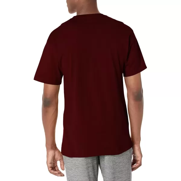 imageChampion Mens Classic Everyday Soft Comfortable TShirt Regular or Big ampamp TallMaroon