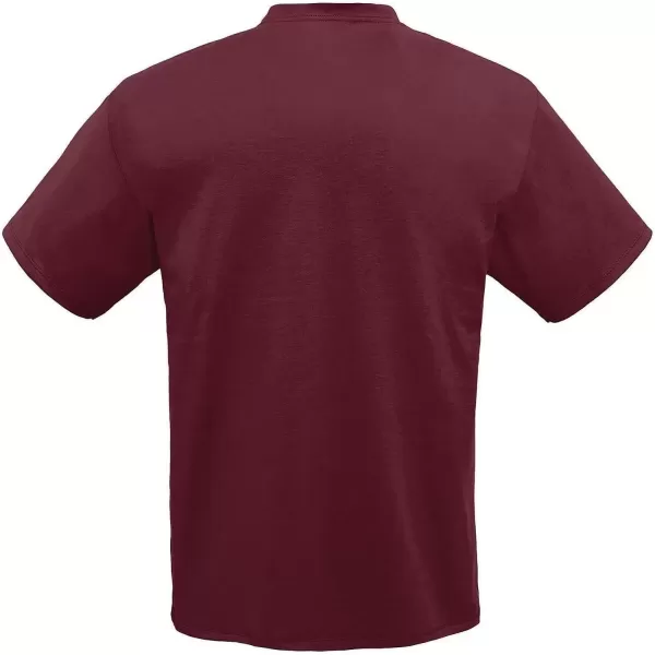 imageChampion Mens Classic Everyday Soft Comfortable TShirt Regular or Big ampamp TallMaroon