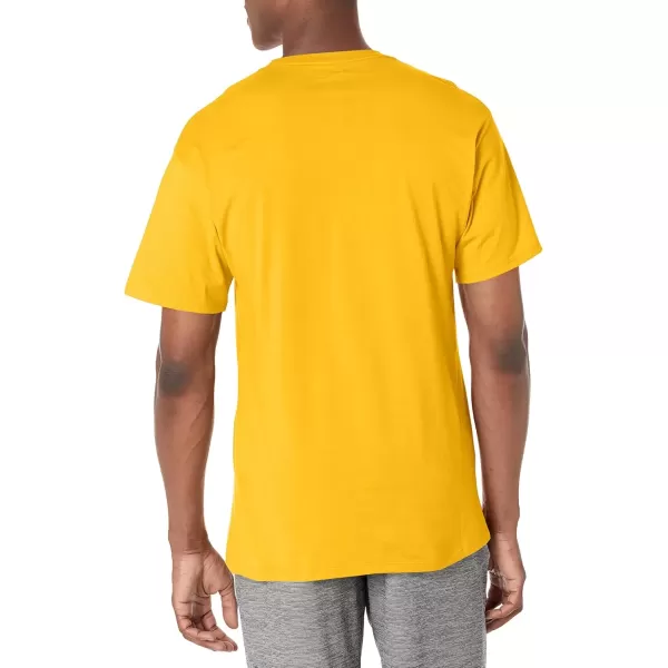 imageChampion Mens Classic Everyday Soft Comfortable TShirt Regular or Big ampamp TallTeam Gold