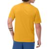 imageChampion Mens Tshirt Sport Tee Moisture Wicking Anti Odor Athletic TShirt For Men Reg Or Big ampamp TallRoyal Gold