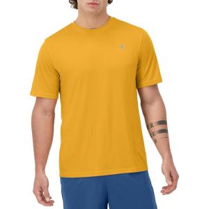 imageChampion Mens Tshirt Sport Tee Moisture Wicking Anti Odor Athletic TShirt For Men Reg Or Big ampamp TallRoyal Gold