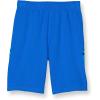 imageChampion Boys Shorts Athletic Shorts for Boys Lightweight Shorts for Kids French Terry 8quotBozzetto BlueBozzetto Camo Small Script
