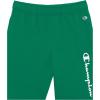 imageChampion Boys Shorts Athletic Shorts for Boys Lightweight Shorts for Kids French Terry 8quotKelly Green Script