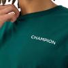 imageChampion Mens Tshirt Classic Graphic Tshirt Soft and Comfortable TShirts For Men 2024 GraphicsNight Garden Tonal Script