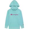 imageChampion Girls Hoodie Sweatshirt Zip Up Fleece Athletic Hoodie for Girl ClothingLight Sea Green