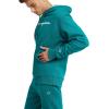 imageChampion Mens Powerblend Fleece Hoodie Sweatshirt with Script Logo Regular and Big ampamp TallDark Emerald Script