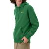 imageChampion Mens Powerblend Fleece Hoodie Sweatshirt with Script Logo Regular and Big ampamp TallRoad Sign Green Small Script